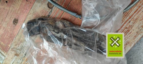 IMG_20230829_172308